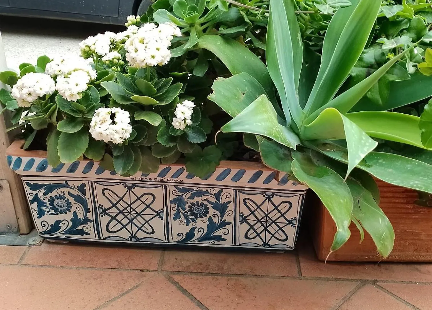 Villa Corallina 산비토로카포